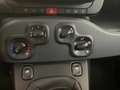 Fiat Panda 3ª serie 1.0 FireFly S&S Hybrid Bianco - thumbnail 10