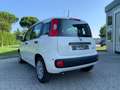 Fiat Panda 3ª serie 1.0 FireFly S&S Hybrid Bianco - thumbnail 3