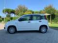 Fiat Panda 3ª serie 1.0 FireFly S&S Hybrid Bianco - thumbnail 2