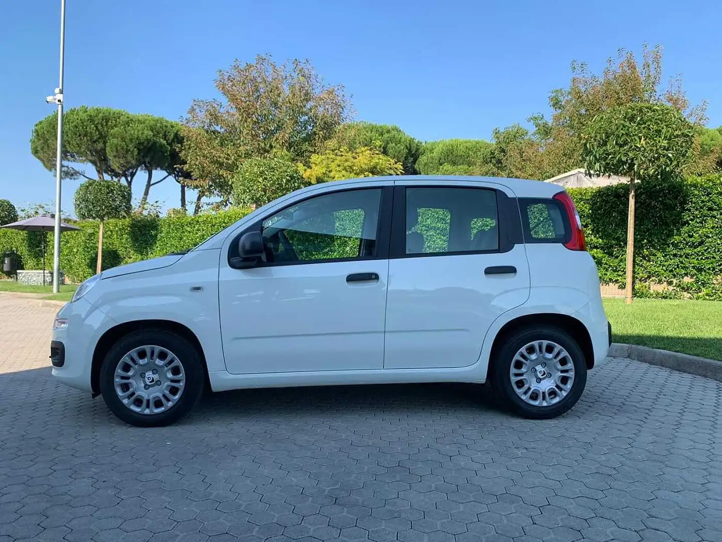 Fiat Panda 3ª serie 1.0 FireFly S&S Hybrid Bianco - 2