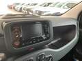 Fiat Panda 3ª serie 1.0 FireFly S&S Hybrid Bianco - thumbnail 9