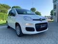 Fiat Panda 3ª serie 1.0 FireFly S&S Hybrid Bianco - thumbnail 7