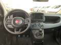 Fiat Panda 3ª serie 1.0 FireFly S&S Hybrid Bianco - thumbnail 12