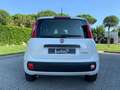 Fiat Panda 3ª serie 1.0 FireFly S&S Hybrid Bianco - thumbnail 4