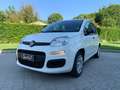 Fiat Panda 3ª serie 1.0 FireFly S&S Hybrid Bianco - thumbnail 1