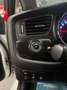 Kia Ceed / cee'd TAGLIANDI CERTIFICATI - thumbnail 10
