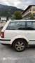Volkswagen Passat Variant GL 1,9 TDI Tiptr. - Verhandlungsbasis! - thumbnail 5