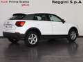 Audi Q2 1.6 tdi business Bianco - thumbnail 4