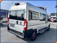 Fiat Ducato Ducato 33 2.3 MJT AUTO. 180CV PM-TM Panorama Grijs - thumbnail 4