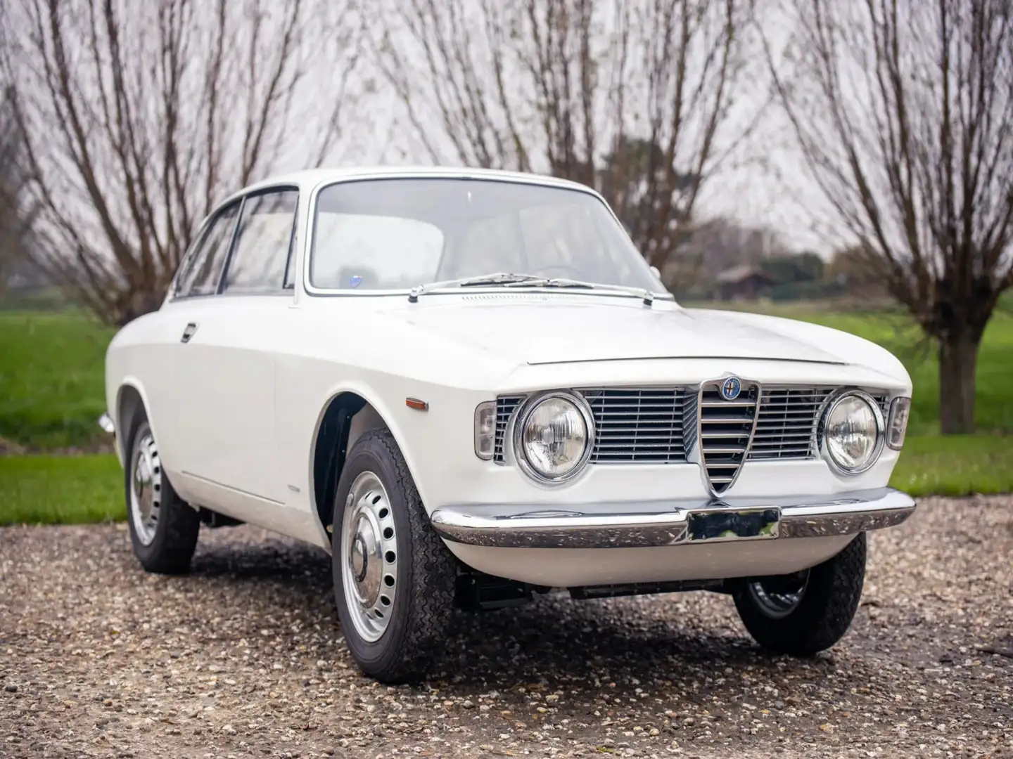 Alfa Romeo Giulia Bianco - 1