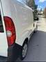 Fiat Doblo Weiß - thumbnail 3