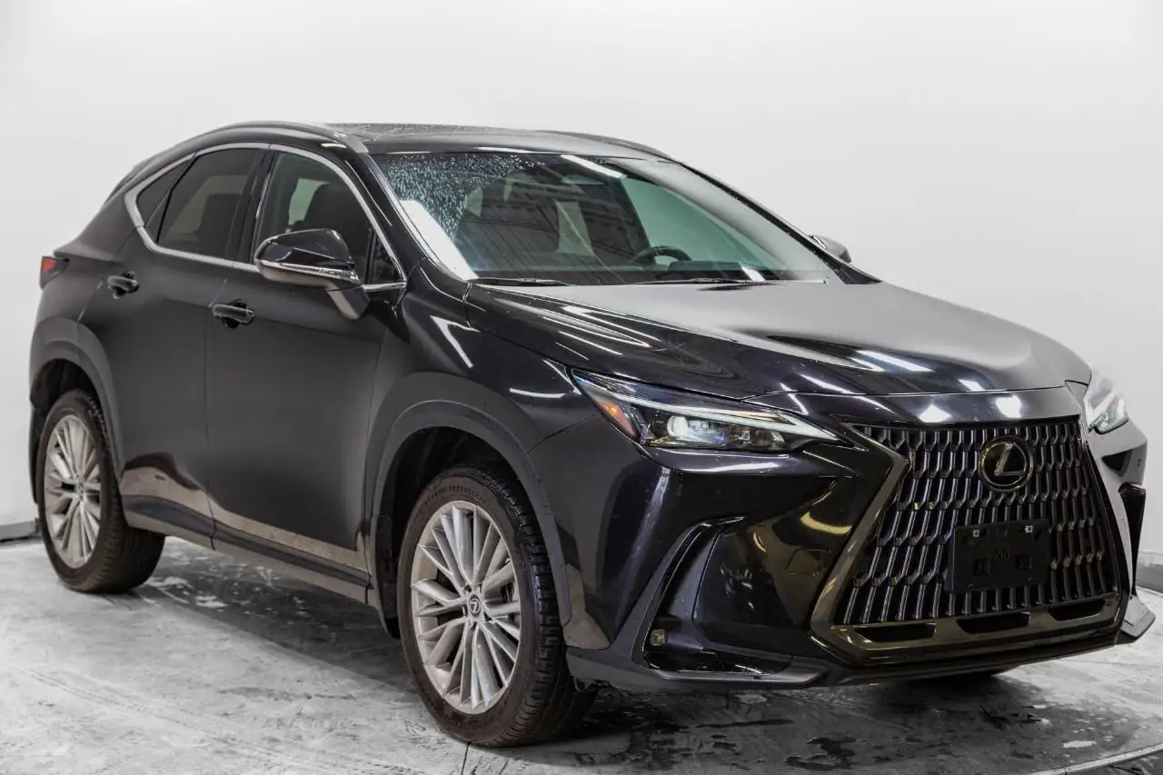 2024 Lexus NX