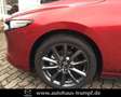 Mazda 3 SKYACTIV-X 2.0 6AG SELECTION DESIGN-Paket Červená - thumbnail 11