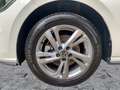 Volkswagen Polo 1.0 TSI DSG R-LINE MATRIX+NAV+ACC+BEATS+DAB Grau - thumbnail 8