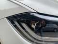 Volkswagen Polo 1.0 TSI DSG R-LINE MATRIX+NAV+ACC+BEATS+DAB Grau - thumbnail 16