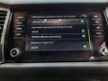 Skoda Kodiaq 2.0i TSI 4x4 Ambition DSG *7plc*/ Garantie 12 Mois Gris - thumbnail 24