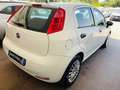 Fiat Punto Punto 1.3 MJT II S&S 95 CV 5 porte Street Blanc - thumbnail 10