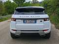 Land Rover Range Rover Evoque 5p 2.2 td4 Dynamic 150cv Bianco - thumbnail 4