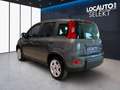Fiat Panda 1.0 hybrid s&s 70cv 5p.ti - PROMO Grigio - thumbnail 5