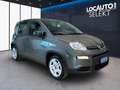 Fiat Panda 1.0 hybrid s&s 70cv 5p.ti - PROMO Grijs - thumbnail 3