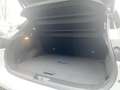 Nissan Qashqai e-Power MY25 1.5 e-POWER 205 PS 4x2 Tekna+ 2 Farbe Blanco - thumbnail 12