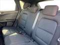 Ford Kuga 2.5 Full Hybrid 190 CV CVT AWD ST-Line Nero - thumbnail 9