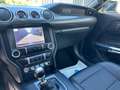 Ford Mustang 5.0 V8 BLACK BEAST-SHELBY GT.500 PAKET Nero - thumbnail 17