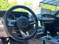 Ford Mustang 5.0 V8 BLACK BEAST-SHELBY GT.500 PAKET Nero - thumbnail 18