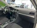 Volkswagen Golf 1.6TDI Edition 85kW Blanco - thumbnail 13