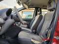 Fiat Panda 1.2 60cv Rouge - thumbnail 8