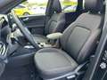 Ford Kuga Kuga 2.5 PHEV ST-Line Trekhaak | Panodak! Zwart - thumbnail 14