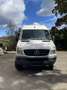 Mercedes-Benz Sprinter Sprinter 315 CDI HD 3,5 t / 3.665 mm Weiß - thumbnail 1