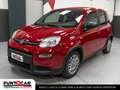 Fiat Panda Panda 1.0 FireFly S&S Hybrid Pandina PROMO FLEX Rood - thumbnail 1