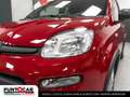 Fiat Panda Panda 1.0 FireFly S&S Hybrid Pandina PROMO FLEX Rood - thumbnail 16