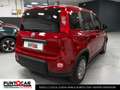 Fiat Panda Panda 1.0 FireFly S&S Hybrid Pandina PROMO FLEX Rood - thumbnail 5