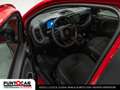 Fiat Panda Panda 1.0 FireFly S&S Hybrid Pandina PROMO FLEX Rood - thumbnail 7