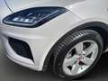 Jaguar E-Pace 2.0DI4 D150 R-Dynamic S AWD Aut. Grau - thumbnail 6