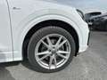 Audi Q2 2.0 TFSI 190 S-tronic S Line Quattro Blanco - thumbnail 40