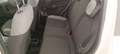 Fiat Panda My21 1.0 70cv Hybrid City Life Bianco - thumbnail 12