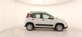 Fiat Panda My21 1.0 70cv Hybrid City Life Bianco - thumbnail 7