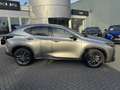 Lexus NX 450h+ AWD Luxury Line STOELVERW STUURVERW EL-ACHTERKLEP Gris - thumbnail 2