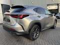 Lexus NX 450h+ AWD Luxury Line STOELVERW STUURVERW EL-ACHTERKLEP Gris - thumbnail 3