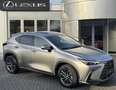 Lexus NX 450h+ AWD Luxury Line STOELVERW STUURVERW EL-ACHTERKLEP Gris - thumbnail 1