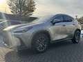 Lexus NX 450h+ AWD Luxury Line STOELVERW STUURVERW EL-ACHTERKLEP Gris - thumbnail 7