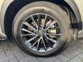 Lexus NX 450h+ AWD Luxury Line STOELVERW STUURVERW EL-ACHTERKLEP Gris - thumbnail 10