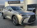 Lexus NX 450h+ AWD Luxury Line STOELVERW STUURVERW EL-ACHTERKLEP Gris - thumbnail 9