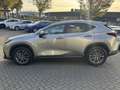 Lexus NX 450h+ AWD Luxury Line STOELVERW STUURVERW EL-ACHTERKLEP Gris - thumbnail 8