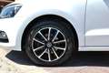 Volkswagen Polo 1.4 TDI 75CV **TAGLIANDI VW PAGATI**PREZZO VERO** Blanco - thumbnail 16