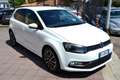 Volkswagen Polo 1.4 TDI 75CV **TAGLIANDI VW PAGATI**PREZZO VERO** Blanco - thumbnail 3
