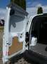 Ford Transit Courier 1.0 EcoBoost Limited Biały - thumbnail 9